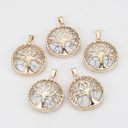 Natural Howlite Pendants, with Brass Findings, Flat Round with Tree of Life, Golden, 30.5x27x8mm, Hole: 7x3mm(G-S292-10L-G)