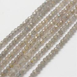 Natural Labradorite Bead Strands, Faceted, Rondelle, 3x2mm, Hole: 0.5mm, about 175pcs/strand, 16 inch(G-P243-09)
