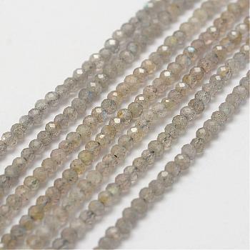 Natural Labradorite Bead Strands, Faceted, Rondelle, 3x2mm, Hole: 0.5mm, about 175pcs/strand, 16 inch