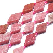 Natural Argentina Rhodonite Beads Strands, Rhombus, 20~22x12~13x4~5mm, Hole: 1mm, about 19pcs/strand, 16.73''(42.5cm)(G-K245-E04-A02)