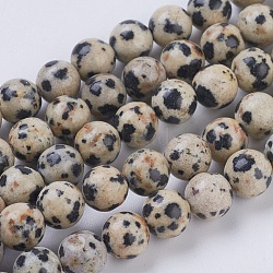 Natural Dalmation Jasper Beads Strands, Round, 6mm, Hole: 1mm, about 29pcs/strand, 7.6 inch(X-G-G515-6mm-06)
