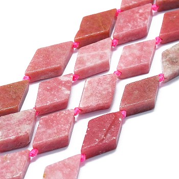 Natural Argentina Rhodonite Beads Strands, Rhombus, 20~22x12~13x4~5mm, Hole: 1mm, about 19pcs/strand, 16.73''(42.5cm)