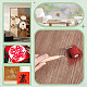 3Pcs 3 Styles Wood Roller(FIND-NB0005-94)-3