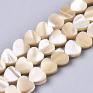 Natural Trochid Shell/Trochus Shell Beads, Heart, Peru, 6x6x3mm, Hole: 0.8mm, about 70pcs/strand, 15.75''(40cm)(SSHEL-R049-01)