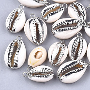 Electroplate Cowrie Shell Pendants, with Iron Findings, Platinum, 18~24x10~14x6~7mm, Hole: 1.5mm(SHEL-S266-04B)