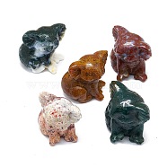 Natural Jade Sculpture Display Decorations, for Home Office Desk, Koala, 24~27x26~30.5x29~30mm(G-F719-57E)