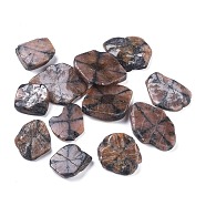 Natural Chiastolite Cabochons, Andalusite Cabochons, Cross Stone, Nuggets, 25.6~44.5x18~35.5x5~11.5mm(G-L515-08)