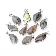 Natural Larvikite Pendants, with Brass Findings, Mixed Shape, Platinum, 28~55x13~35x4~11mm, Hole: 4x6mm(G-H047-01)