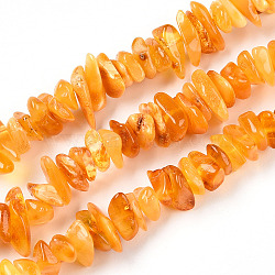 Natural Amber Beads Strands, Chip, Orange, 1~5x7~15.5x6~8mm, Hole: 0.6mm, about 120~122pcs/strand, 15.28~15.8''(38.8~39.5cm)(G-T138-235B)