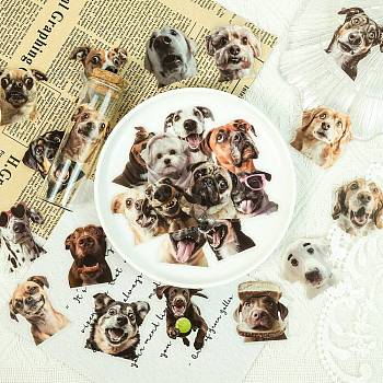 50Pcs Dog PET Self-Adhesive Picture Stickers, for Water Bottles, Laptop, Luggage, Cup, Computer, Mobile Phone, Skateboard, Guitar Stickers Decor, Mixed Color, 49~53x44~48x0.1mm, 50pcs/set