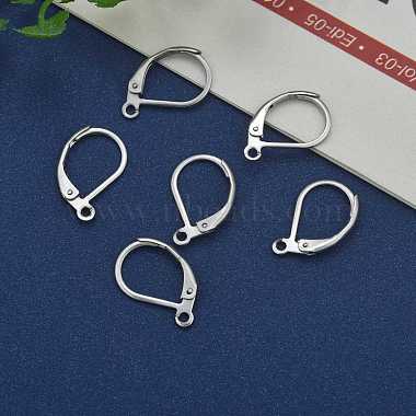 Stainless Steel Color Tone 304 Stainless Steel Leverback Earring Findings(X-STAS-E007-3)-5