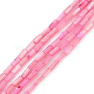 Natural Freshwater Shell Dyed Beads Strands, Column, Pearl Pink, 8x4mm, Hole: 0.8mm, about 46pcs/strand, 14.96''(38cm)(SHEL-M018-11-13)