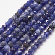 Natural Sodalite Bead Strands, Faceted, Round, 3mm, Hole: 0.5mm, about 127pcs/strand, 15.2 inch(G-P279-58-3mm)