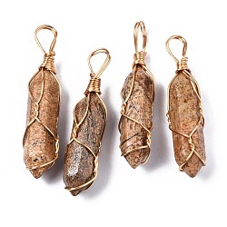 Natural Picture Jasper Big Pendants, with Golden Brass Findings, Hexagonal Prisms, 44.5~52x10~11x9.5~10.5mm, Hole: 4x7mm(G-T122-70D)