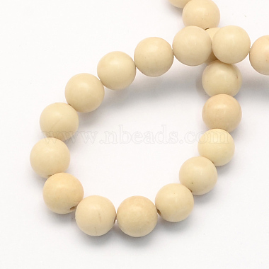 Natural Fossil Round Beads Strands(G-S171-8mm)-2