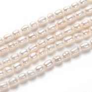 Natural Cultured Freshwater Pearl Beads Strands, Rice, White, 5~6x4mm, Hole: 0.6mm, about 60pcs/strand, 13.78 inch(35cm)(PEAR-J005-58)