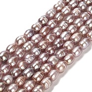 Natural Cultured Freshwater Pearl Beads Strands, Rice, Grade 2A, Rosy Brown, 5~6x3~4.5mm, Hole: 0.7mm, about 62~65pcs/strand, 14.17 inch(36cm)(PEAR-E016-131)