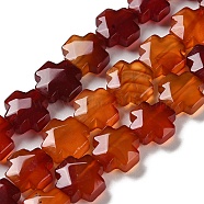Natural Red Agate Beads Strands, Faceted, Cross, Dyed, 12~13x12~12.5x5~6mm, Hole: 1.4mm, about 17pcs/strand, 8.27 inch(21cm)(G-K357-C05-01)