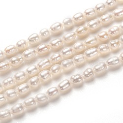 Natural Cultured Freshwater Pearl Beads Strands, Rice, White, 5~6x4mm, Hole: 0.6mm, about 60pcs/strand, 13.78 inch(35cm)(PEAR-J005-58)