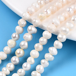 Natural Cultured Freshwater Pearl Beads Strands, Potato, Seashell Color, 4.5~6.5x4~6.5mm, Hole: 0.6mm, about 60~73pcs/strand, 12.36~13.66 inch(31.4~34.7cm)(X-PEAR-N013-05H)