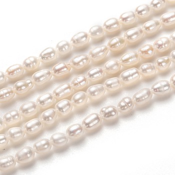 Natural Cultured Freshwater Pearl Beads Strands, Rice, White, 5~6x4mm, Hole: 0.6mm, about 60pcs/strand, 13.78 inch(35cm)