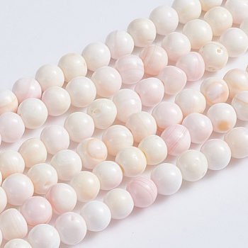 Natural Pink Shell Beads Strands, Round, 5~5.5mm, Hole: 0.5mm, about 80pcs/strand, 15.94 inch(40.5cm)