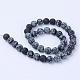 Natural Snowflake Obsidian Beads Strands(G-Q462-10mm-10)-2