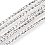 Non-Tarnish 3.28 Feet 304 Stainless Steel Rolo Chains, Belcher Chain, Unwelded, Stainless Steel Color, 3mm(X-CHS-L017-18A)