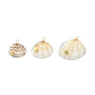 Natural Clam Shell Copper Wire Wrapped Pendants, Dyed Shell Chams with Brass Star Beads, Real 18K Gold Plated, 21~32x23.5~37x8~10mm, Hole: 3.5mm(PALLOY-JF02056-02)