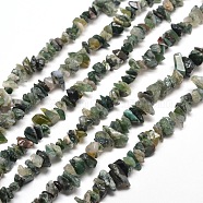 Natural Moss Agate Chip Bead Strands, 5~8x5~8mm, Hole: 1mm, about 31.5 inch(G-M205-45)