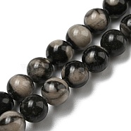 Natural Black Fossil Coral Beads Strands, Round, 8mm, Hole: 0.7mm, about 49pcs/strand, 15.55''(39.5cm)(G-R494-A04-03)