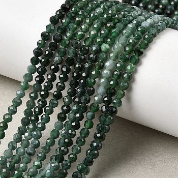 Natural Jadeite Beads Strands, Faceted, Round, 3mm, Hole: 0.7mm, about 128~137pcs/strand, 15.35''~15.55''(39~39.5cm)