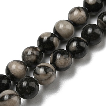 Natural Black Fossil Coral Beads Strands, Round, 8mm, Hole: 0.7mm, about 49pcs/strand, 15.55''(39.5cm)