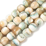 Natural Seashell Shell Beads Strands, Dyed, Smooth Round, Floral White, 7.5~8mm, Hole: 0.8mm, about 48pcs/strand, 14.57''(37cm)(SH-CBAFEDD-01A)