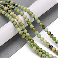 Natural Serpentine Bead Strands, Round, 6mm, Hole: 1mm, about 68pcs/strand, 15.98''(40.6cm)(G-N166-6-1)