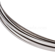 Stainless Steel Wire, Flat, Stainless Steel Color, 2.6x0.8mm, about 22.97 Feet(7m)/Roll(CHS-WH0010-01B)