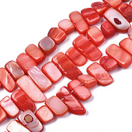 Natural Trochid Shell/Trochus Shell Beads Strands, Dyed, Rectangle, Tomato, 6~11x6~36x1~7mm, Hole: 1mm, about 45~55pcs/strand, 14.96 inch~15.35 inch(38cm~39cm)(SHEL-S258-082-B06)