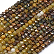 Natural Pietersite Beads  Strands, Gradient Style, Square, Faceted, 4x4x4mm, Hole: 0.7mm, about 80pcs/strand, 15.55 inch(39.5cm)(G-D0013-32)