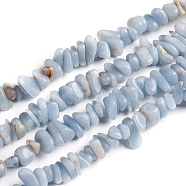 Natural Angelite Chips Beads Strands, Anhydrite Beads, 2.5~6x4.5~10.5mm, Hole: 0.8~1mm, about 33.86 inch(86cm)(G-D0002-A10)