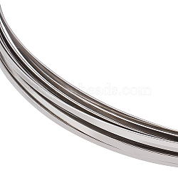 Stainless Steel Wire, Flat, Stainless Steel Color, 2.6x0.8mm, about 22.97 Feet(7m)/Roll(CHS-WH0010-01B)