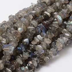 Natural Labradorite Chip Bead Strands, 5~8x5~8mm, Hole: 1mm, about 16 inch(G-M298-06)