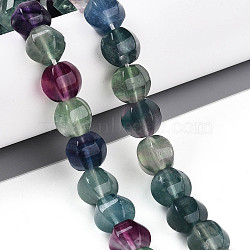 Natural Colorful Fluorite Beads Strands, Lantern, 10~10.5x11.5x11.5mm, Hole: 1.2mm, about 37pcs/strand, 14.96~15.16''(38~38.5cm)(G-T139-55)