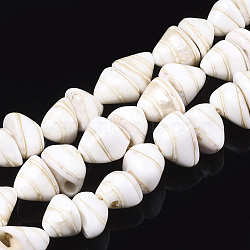 Natural Spiral Shell Beads Strands, Cone, 9~11x11~14x9~12mm, Hole: 1mm, about 41pcs/strand, 14.3 inch(X-SHEL-T011-05)