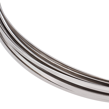 Stainless Steel Wire, Flat, Stainless Steel Color, 2.6x0.8mm, about 22.97 Feet(7m)/Roll
