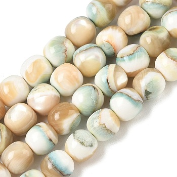 Natural Seashell Shell Beads Strands, Dyed, Smooth Round, Floral White, 7.5~8mm, Hole: 0.8mm, about 48pcs/strand, 14.57''(37cm)
