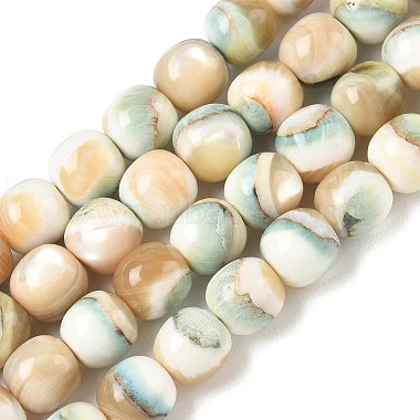 Natural Seashell Shell Beads Strands(SH-CBAFEDD-01A)-1