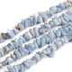 Natural Angelite Chips Beads Strands(G-D0002-A10)-1