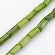 Natural Shell Bead Strands, Dyed, Column, Yellow Green, 8x4mm, Hole: 0.5mm, about 50pcs/strand, 15.7 inch(BSHE-P016-16)