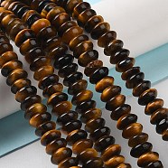 Natural Tiger Eye Beads Strands, Saucer Beads, Rondelle, 6~6.5x3mm, Hole: 1mm, about 118~119pcs/strand, 15.35''(39cm)(G-Z030-A20-01)
