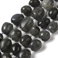 Natural Larvikite Beads Strands, with Seed Beads, Nuggets, Tumbled Stone, 6.5~12.5x6.5~13x6~15mm, Hole: 1.2mm, about 34pcs/strand, 14.96''(38cm)(G-Q169-E05-01)